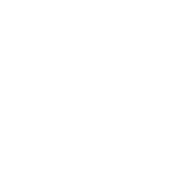 Google Wallet